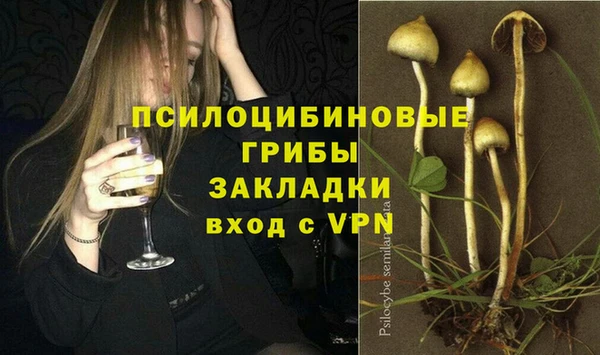 индика Белоозёрский