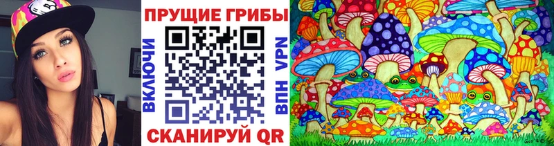 даркнет сайт  Лакинск  Псилоцибиновые грибы Psilocybine cubensis 